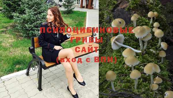 спиды Горнозаводск
