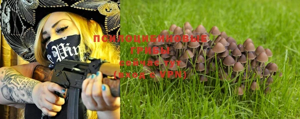 mix Горняк