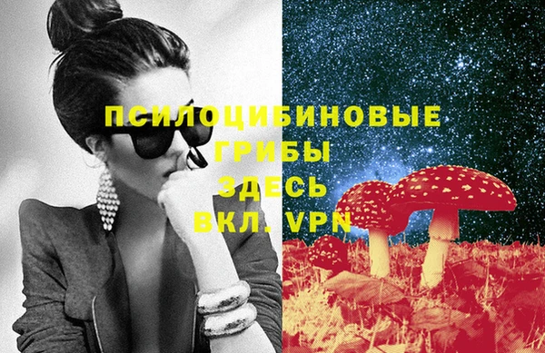 гидра Горно-Алтайск
