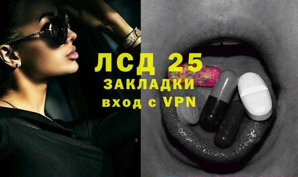 гидра Горно-Алтайск