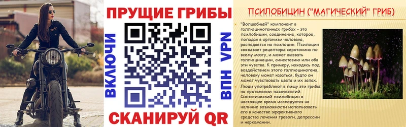 Галлюциногенные грибы ЛСД  Купить где  Лакинск 